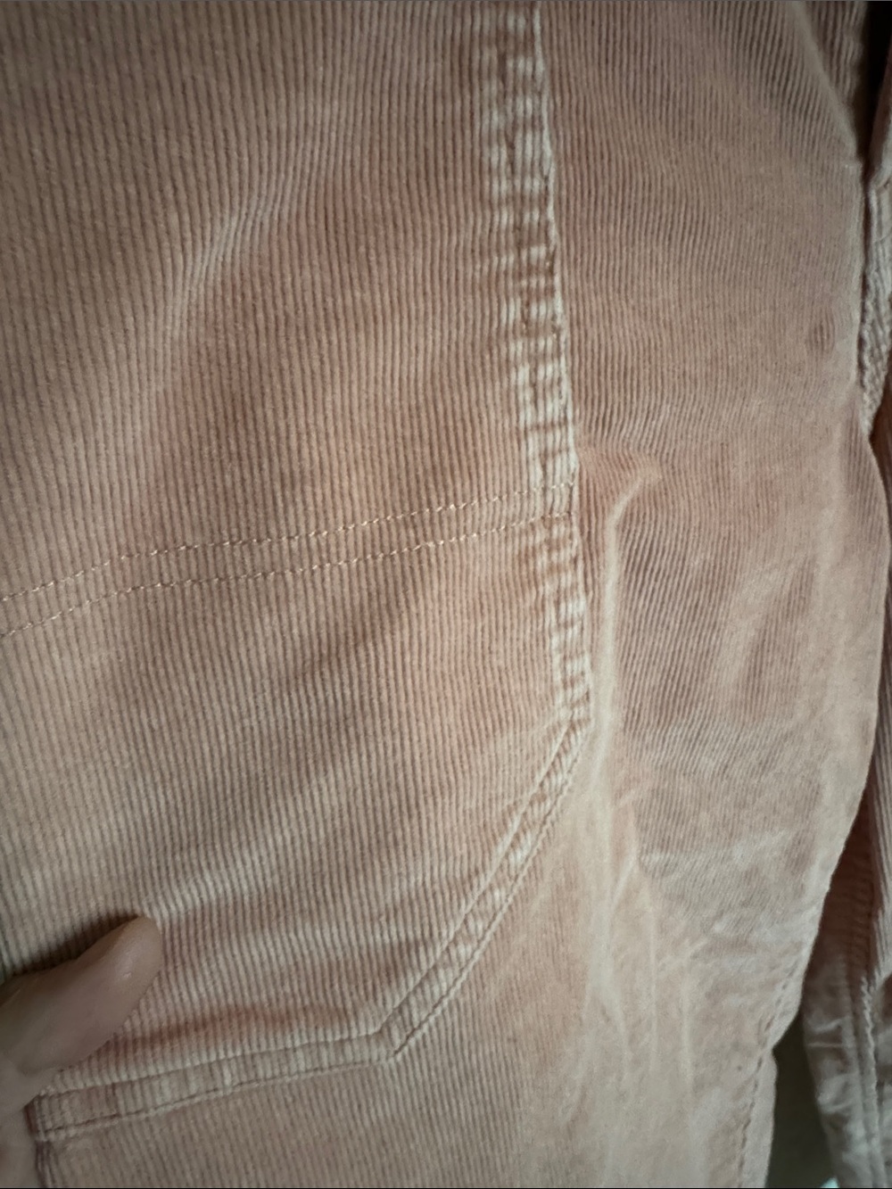 Everlane Way-High Gardener Cropped Pants - 8 US - light salmon corduroy - Picture 2 of 5